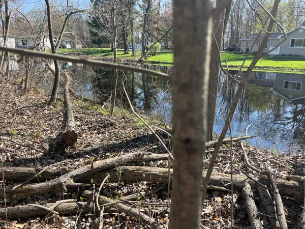 $44,900 | Lot 160 East Shore Drive, Stanton, MI 48888