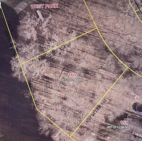 $44,900 | Lot 160 East Shore Drive, Stanton, MI 48888