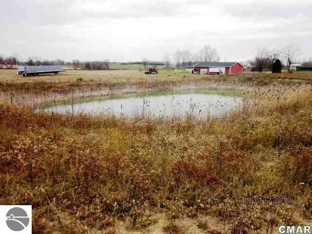 10658 East Coe Road St. Louis, MI 48880 - Photo 15 of 16 1772969-14.JPG