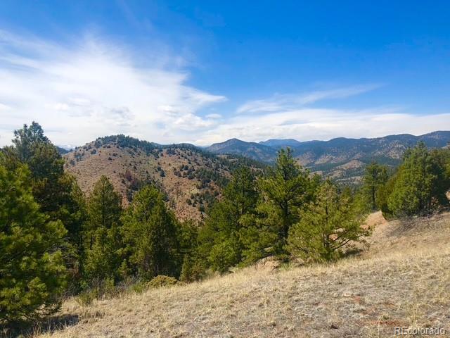 Cathedral Trail Pine, CO 80470 - Photo 1 of 19 a view of a mountain in the distance in a field