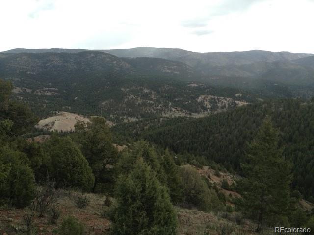Cathedral Trail Pine, CO 80470 - Photo 12 of 19 a view of a house with a mountain
