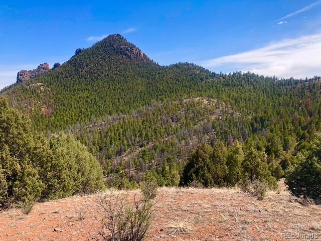 Cathedral Trail Pine, CO 80470 - Photo 3 of 19 a view of a yard with a mountain view
