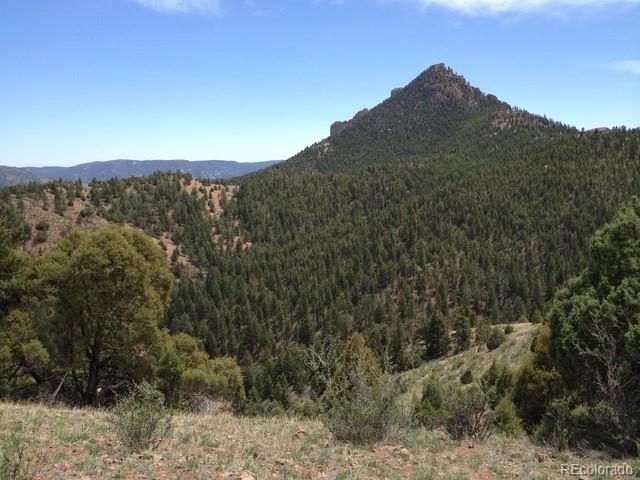 Cathedral Trail Pine, CO 80470 - Photo 6 of 19 a view of a mountain