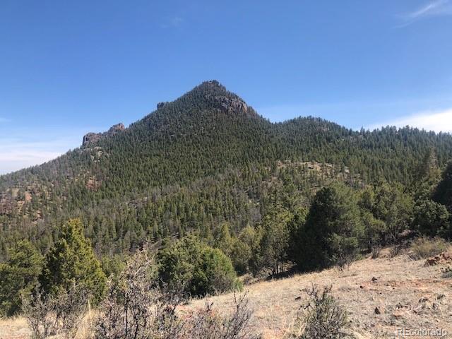 Cathedral Trail Pine, CO 80470 - Photo 10 of 19 a view of a dry yard with mountains in the background