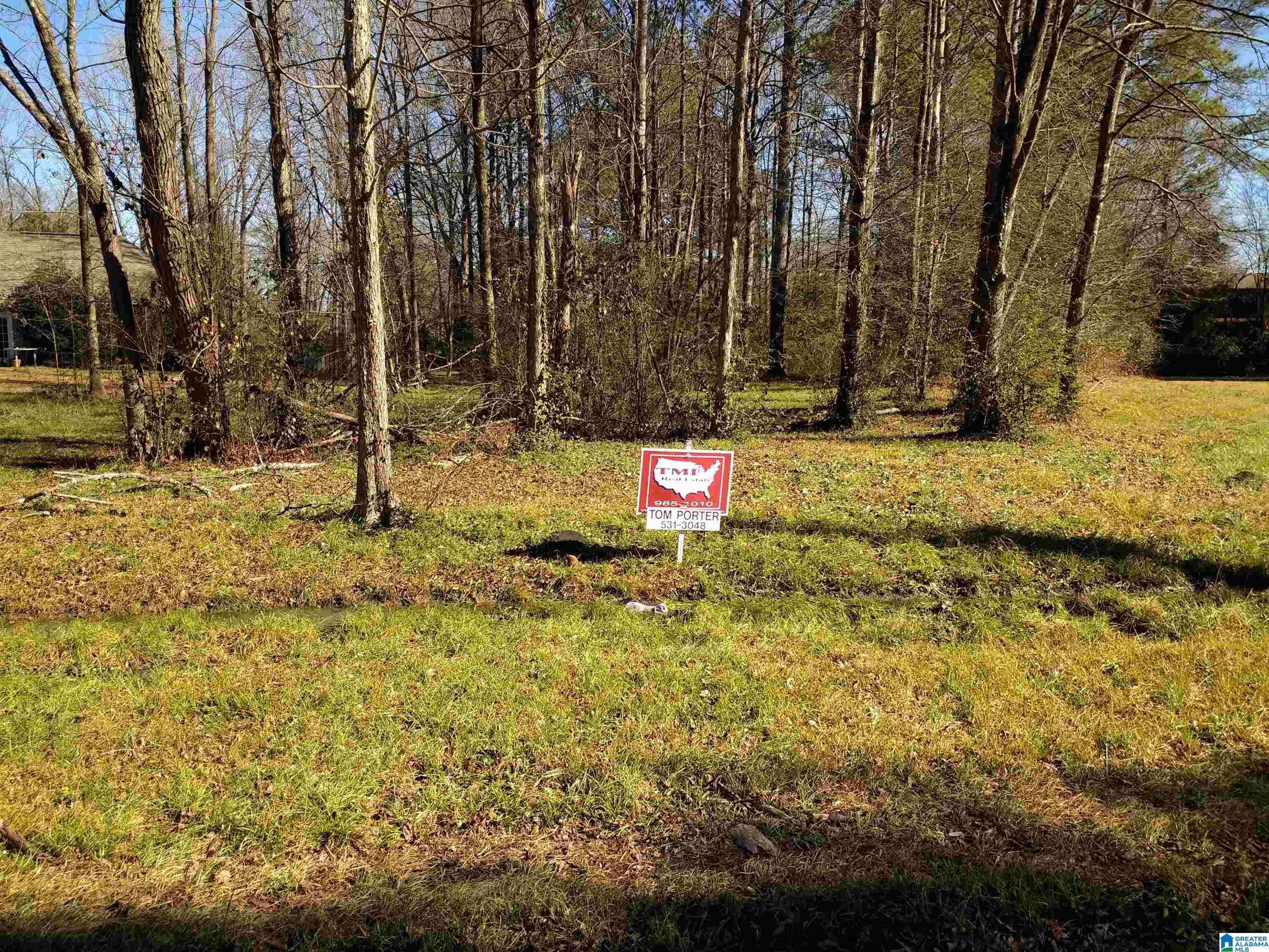 Lot 2 Deborah Drive, Unit 2 Jemison, AL 35085 - Photo 2 of 15
