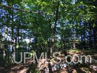 Tbd Maggie Point Road, Unit 11E Crystal Falls, MI 49920 - Photo 6 of 13