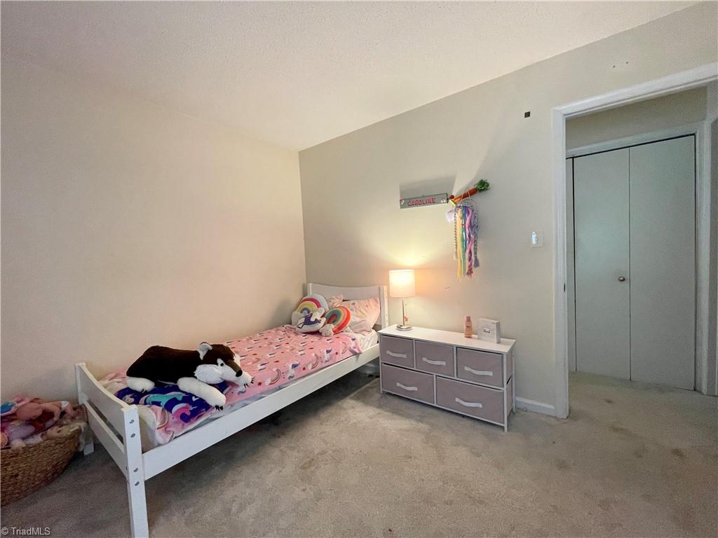 2596 Mt Salem Road Pfafftown, NC 27040 - Photo 30 of 48