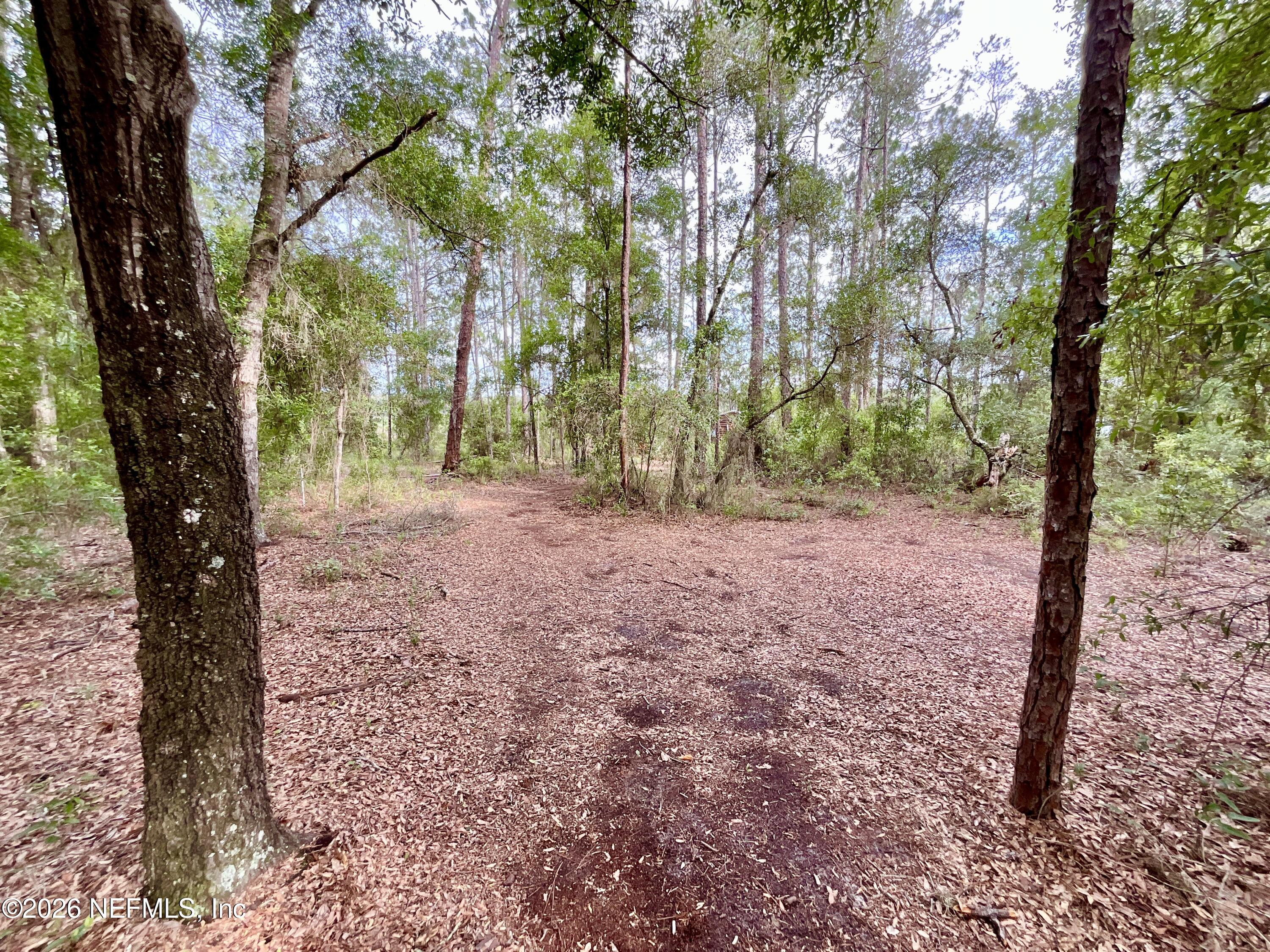 0 Silver Dollar Pond Road Hawthorne, FL 32640 - Photo 23 of 40 IMG_9070