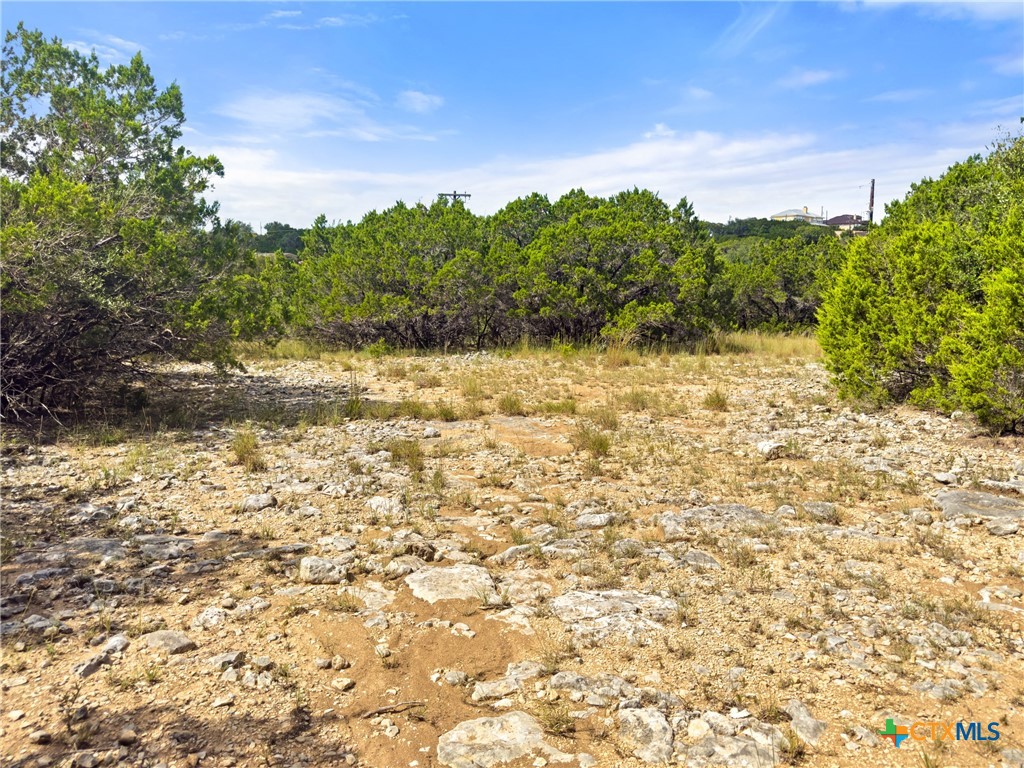 242 Throughbred Spring Branch, TX 78070 - Photo 14 of 22