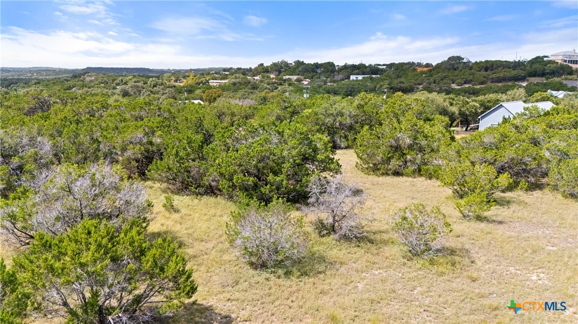 242 Throughbred Spring Branch, TX 78070 - Photo 16 of 22