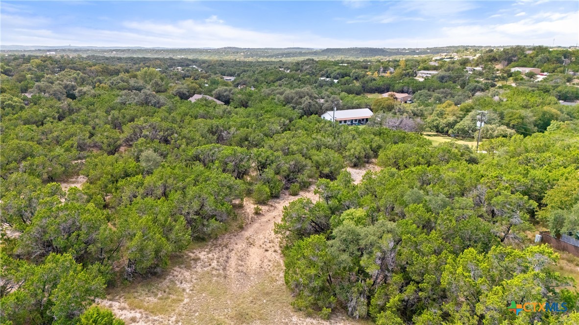 242 Throughbred Spring Branch, TX 78070 - Photo 18 of 22