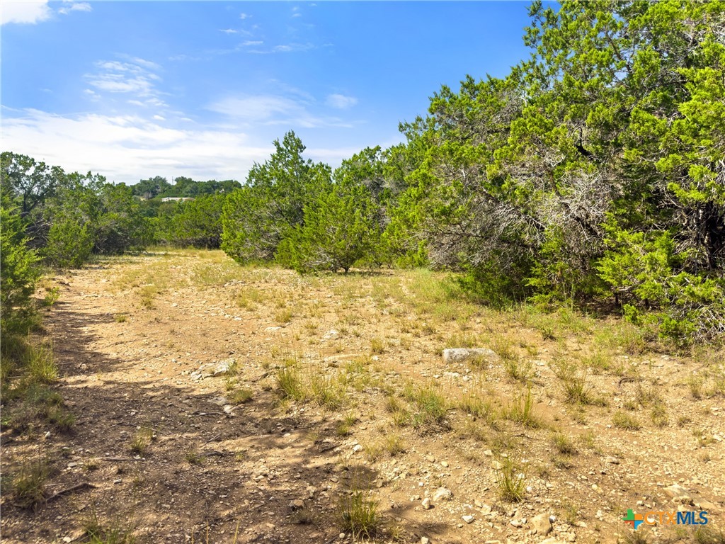 242 Throughbred Spring Branch, TX 78070 - Photo 2 of 22