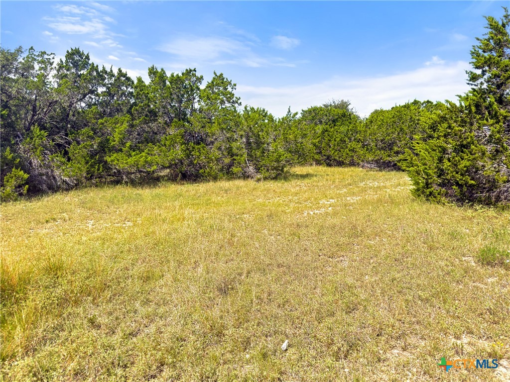 242 Throughbred Spring Branch, TX 78070 - Photo 3 of 22