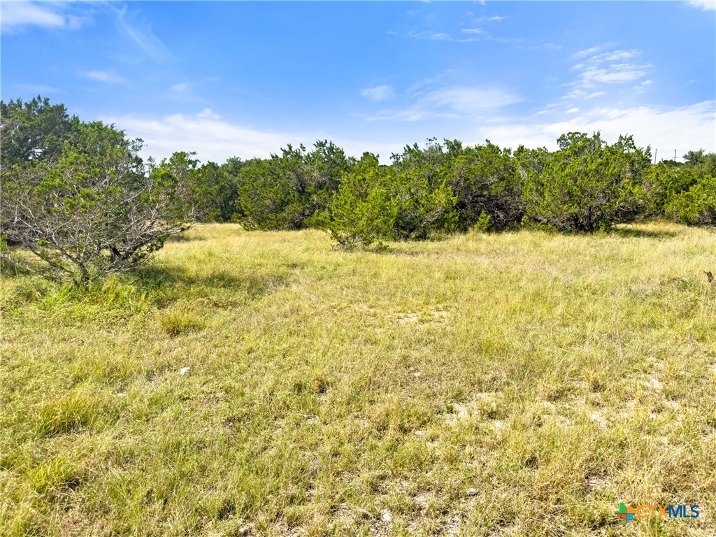 242 Throughbred Spring Branch, TX 78070 - Photo 4 of 22