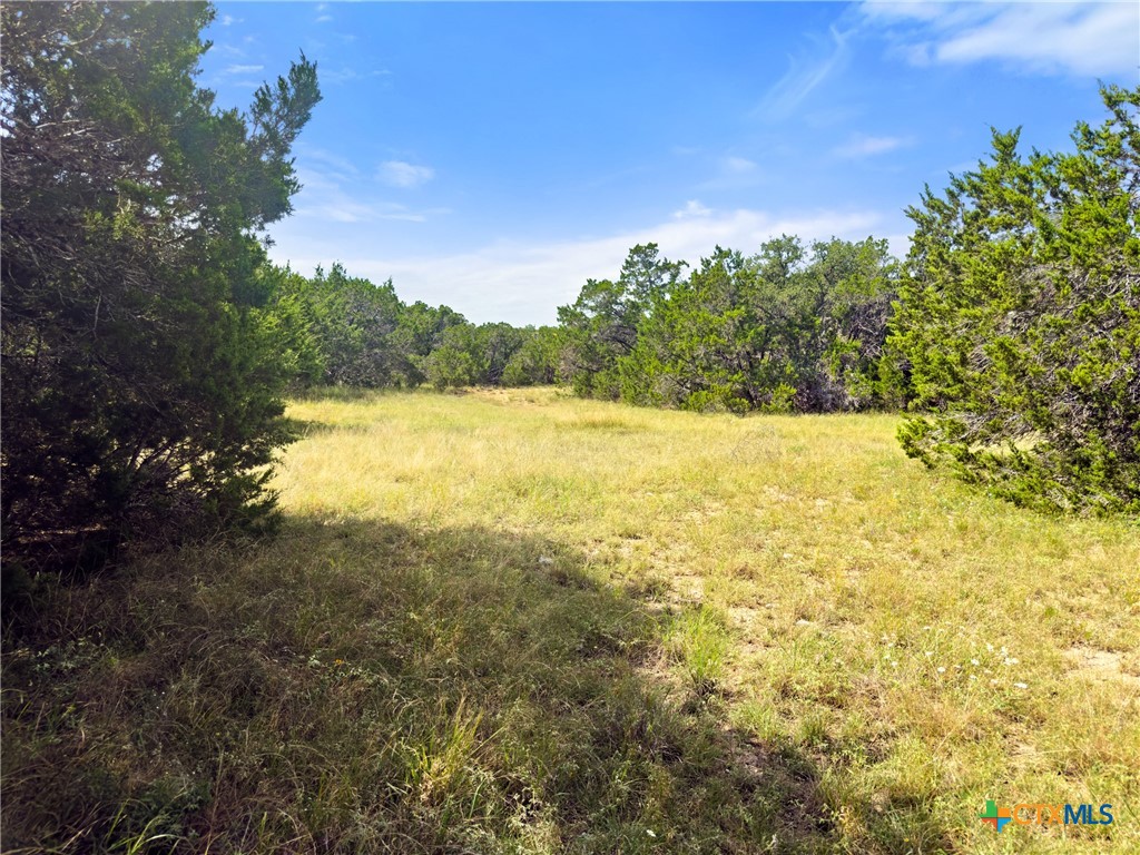 242 Throughbred Spring Branch, TX 78070 - Photo 7 of 22