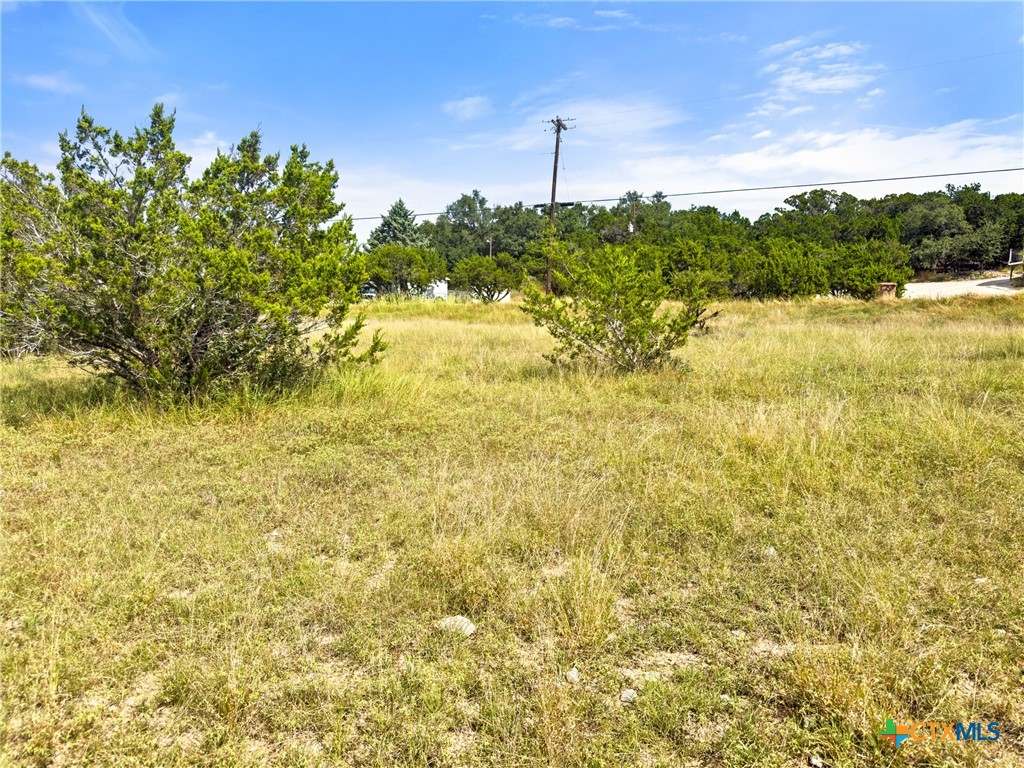 242 Throughbred Spring Branch, TX 78070 - Photo 8 of 22