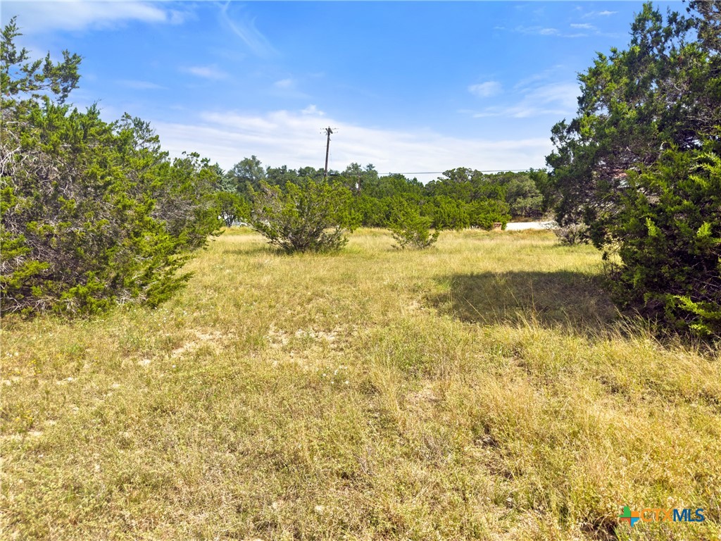 242 Throughbred Spring Branch, TX 78070 - Photo 9 of 22