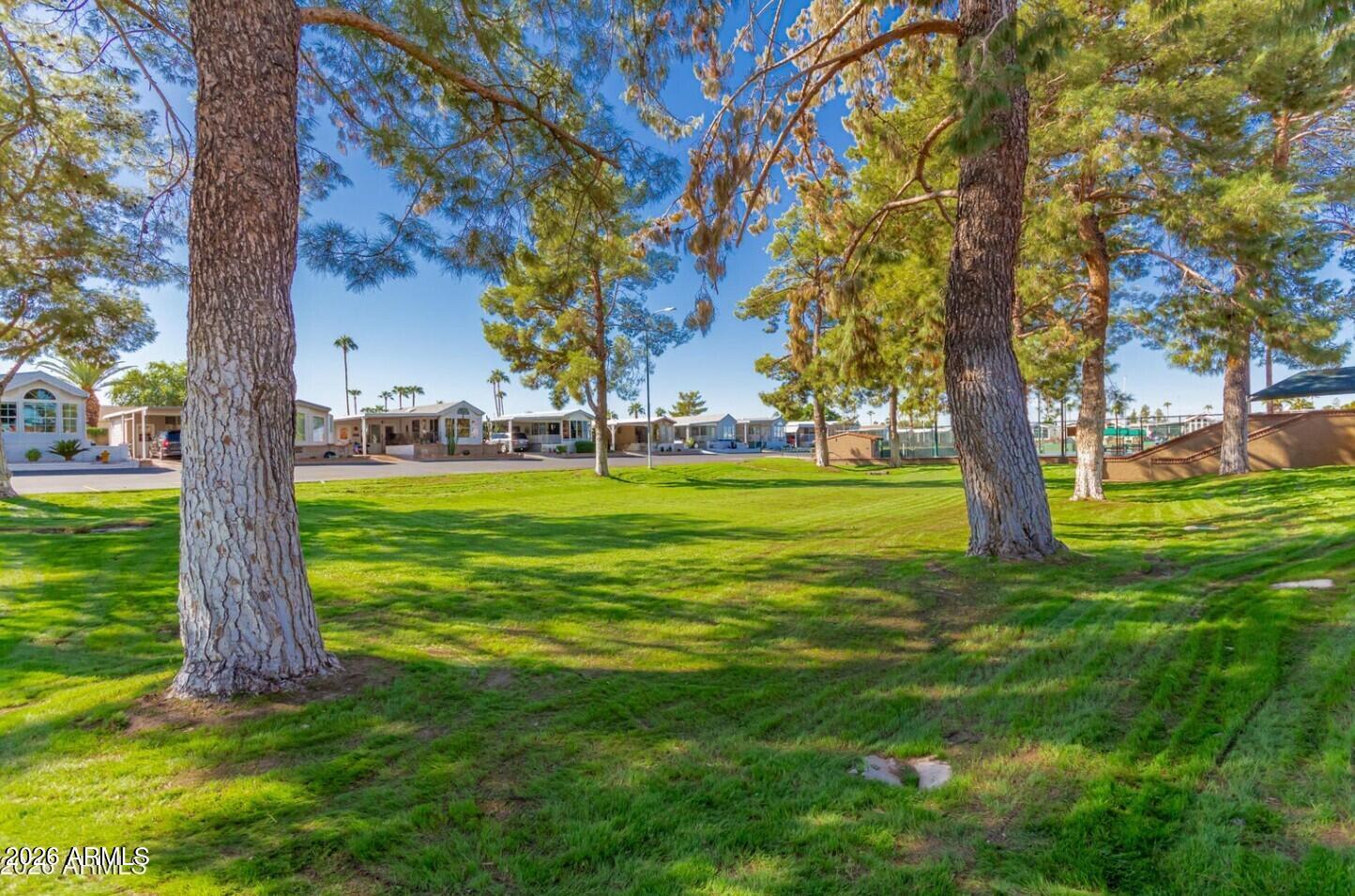 111 South Greenfield Road, Unit 90 Mesa, AZ 85206 - Photo 9 of 26 a big yard with large trees