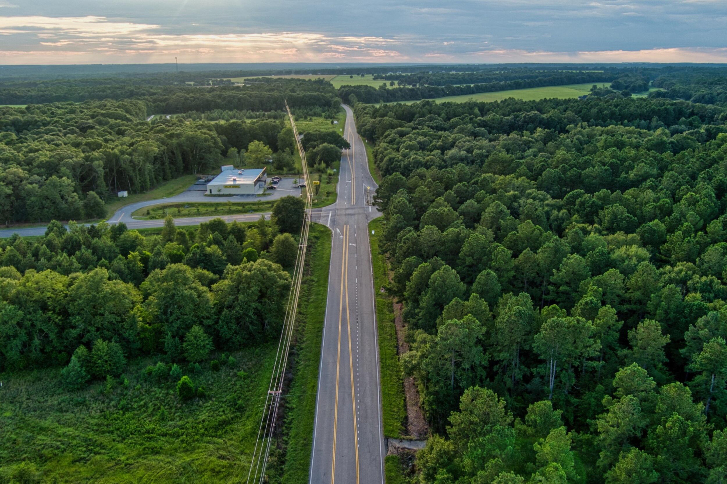 64.7-acres Salley Road Salley, SC 29137 - Photo 11 of 17 14_max_0144_hdr