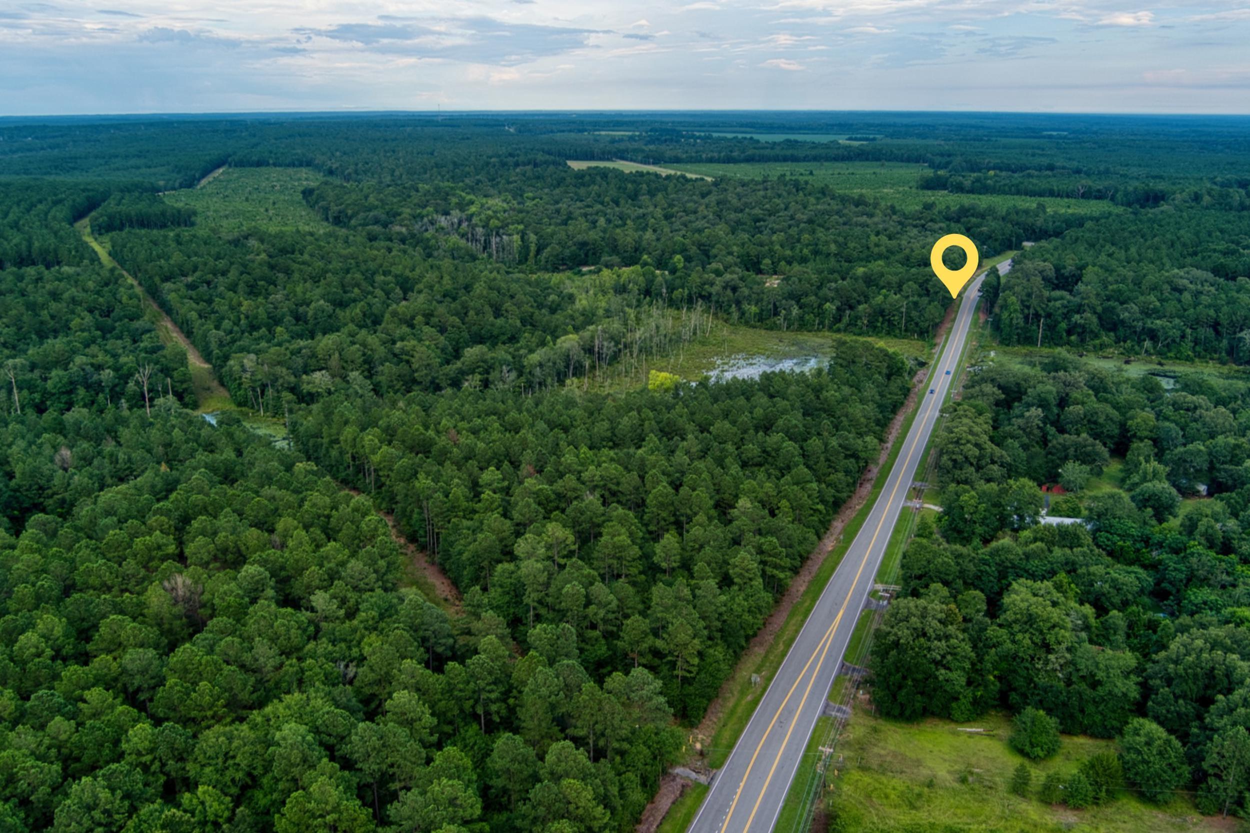 64.7-acres Salley Road Salley, SC 29137 - Photo 13 of 17 17_untitled design (1).png