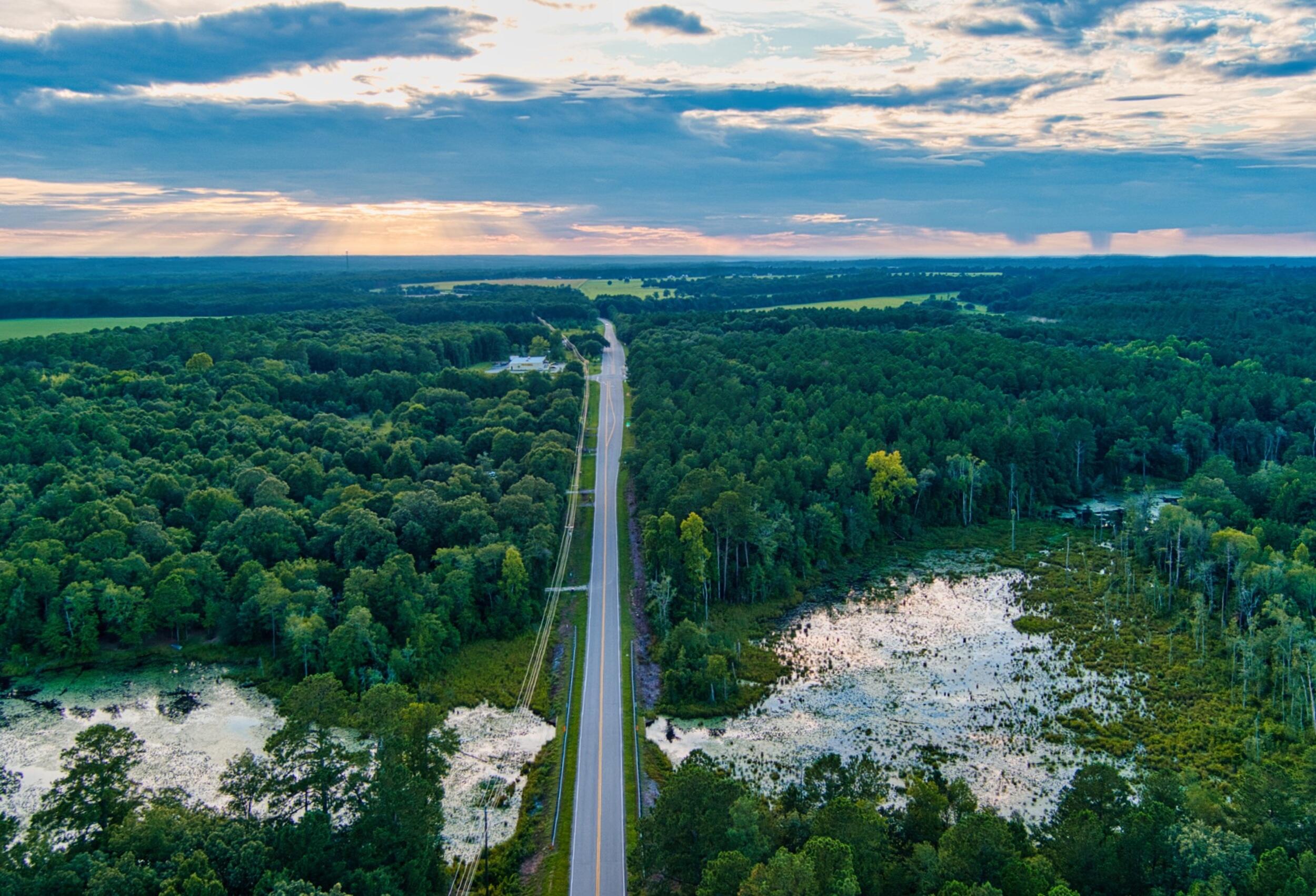64.7-acres Salley Road Salley, SC 29137 - Photo 4 of 17 16_max_0199_hdr