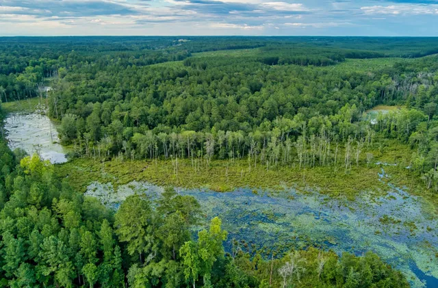 $499,000 | 64.7-acres Salley Road, Salley, SC 29137