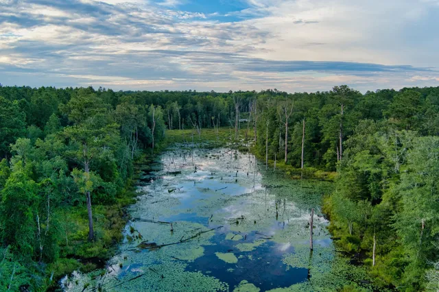 $499,000 | 64.7-acres Salley Road, Salley, SC 29137