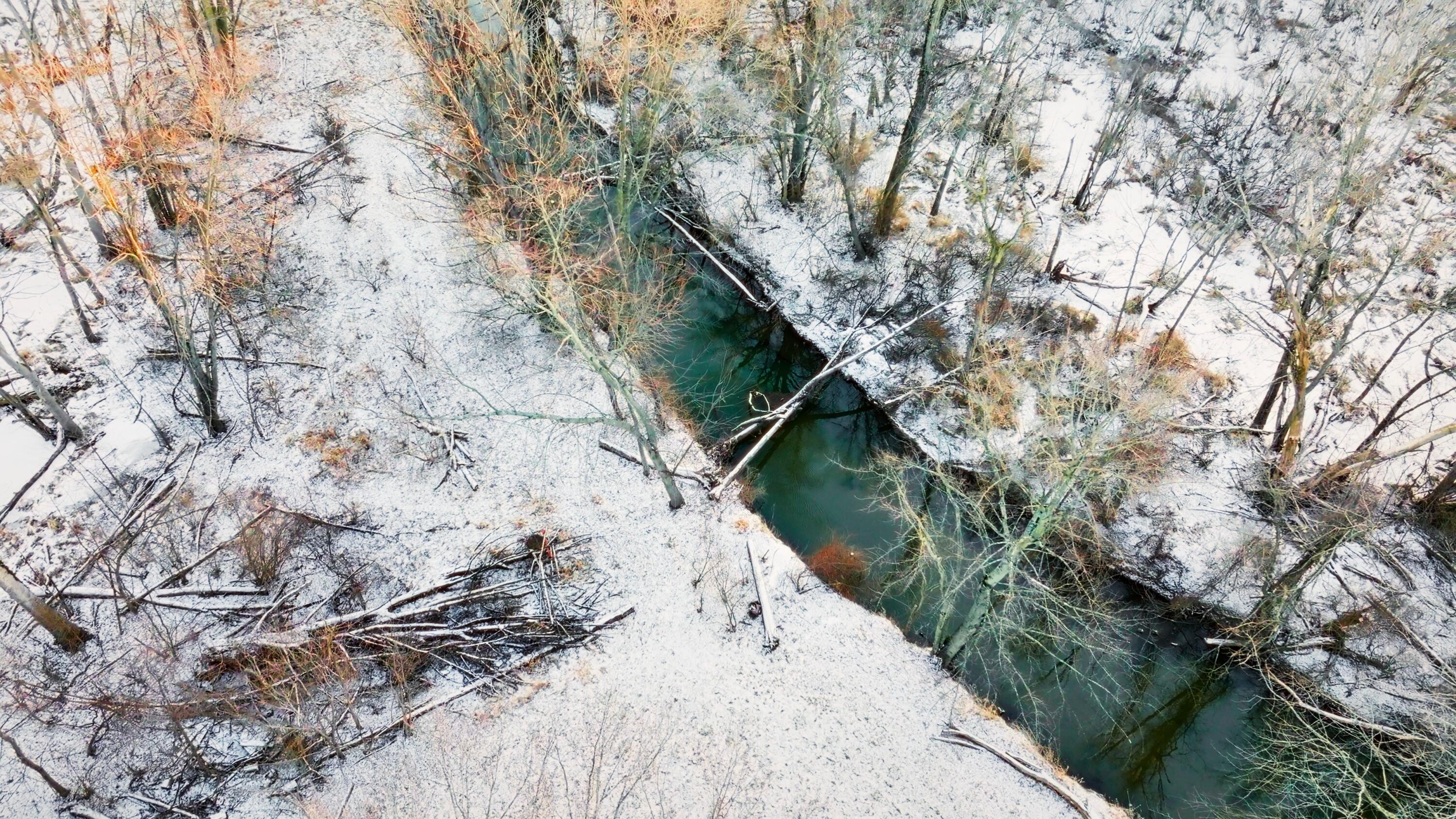 3003 South Cleveland Avenue St. Joseph, MI 49085 - Photo 7 of 9 IMG_1334