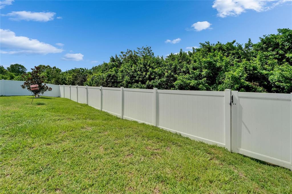 11911 Sunburst Marble Road Riverview, FL 33579 - Photo 48 of 65