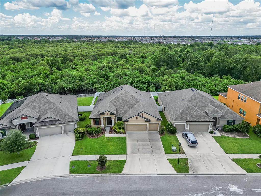 11911 Sunburst Marble Road Riverview, FL 33579 - Photo 52 of 65