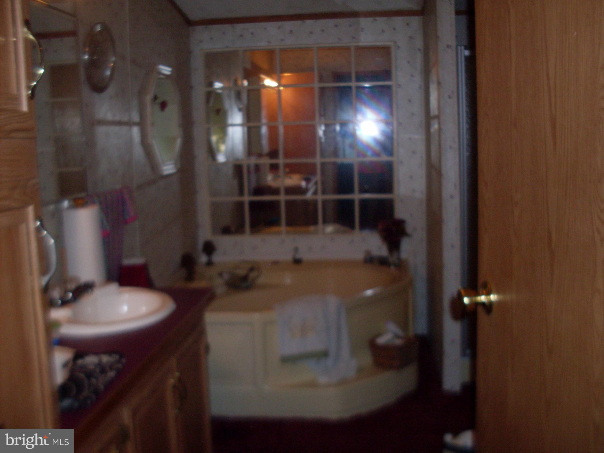 30983 McCormick Swamp Road Princess Anne, MD 21853 - Photo 26 of 27 Bath (Master)
