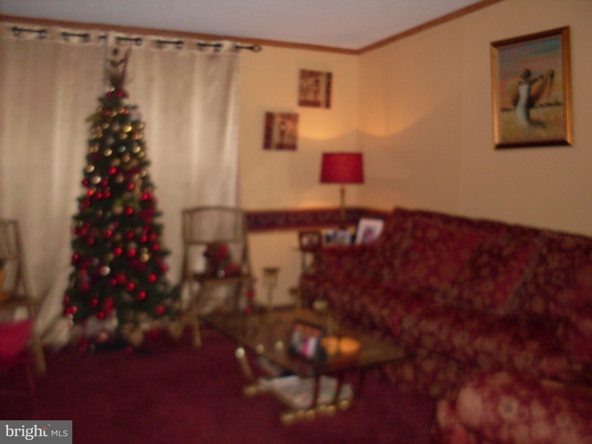 30983 McCormick Swamp Road Princess Anne, MD 21853 - Photo 10 of 27 Living Room