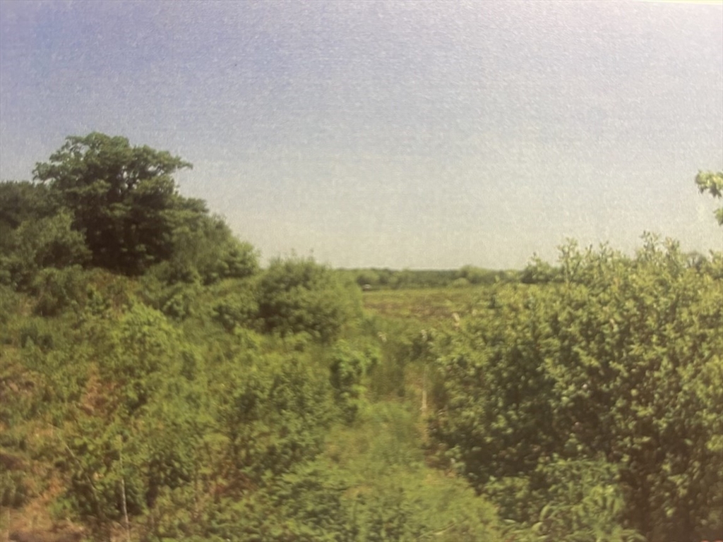70 Wheaton Avenue Rehoboth, MA 02769 - Photo 40 of 42 a view of a field