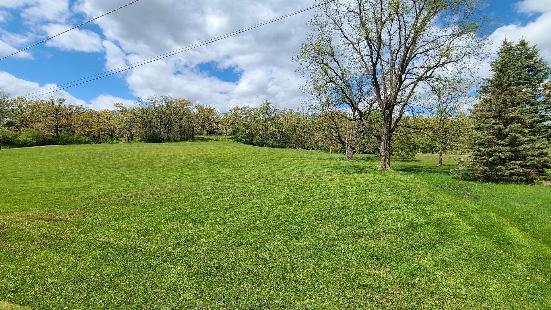 41W898 Beith Road Elburn, IL 60119 - Photo 24 of 82 a view of field with tall trees