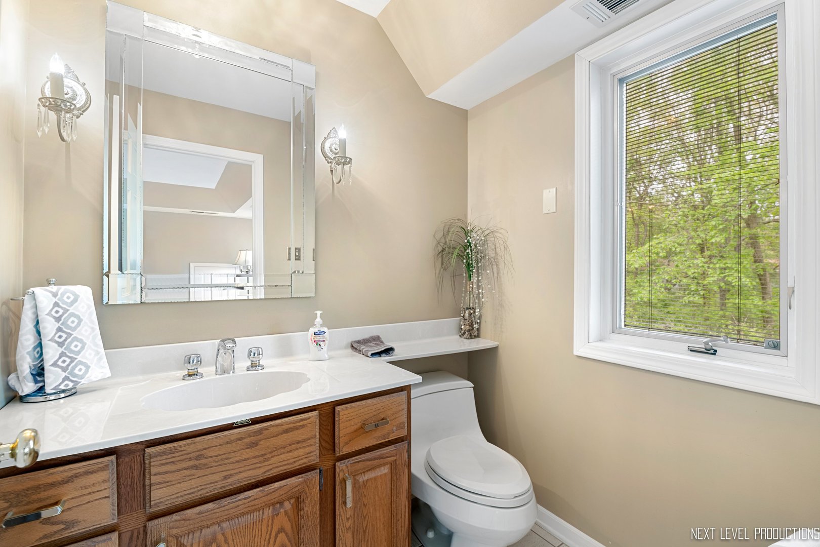 41W898 Beith Road Elburn, IL 60119 - Photo 45 of 82 a bathroom with a granite countertop sink toilet a large mirror and a window