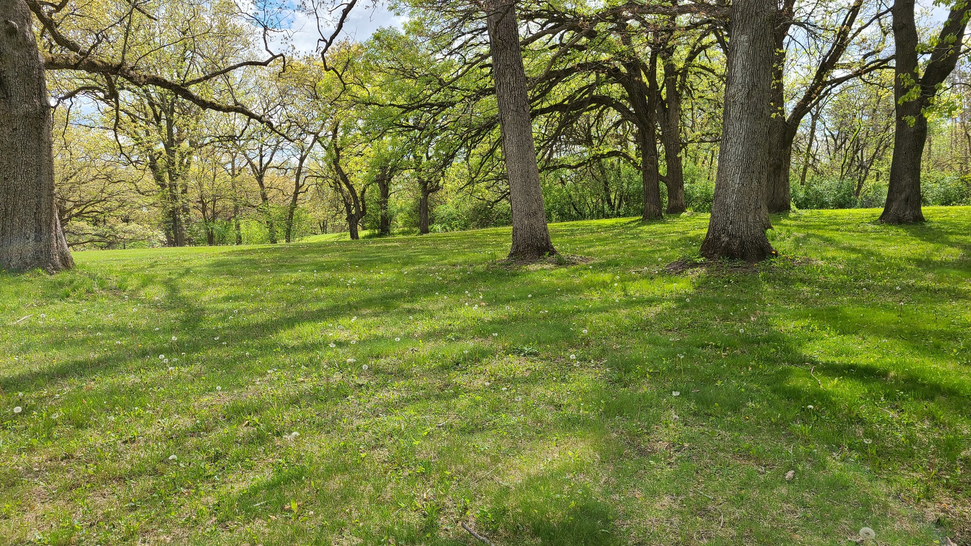 41W898 Beith Road Elburn, IL 60119 - Photo 75 of 82 a view of outdoor space with trees all around