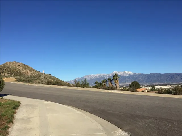 a view of a road with a large trees