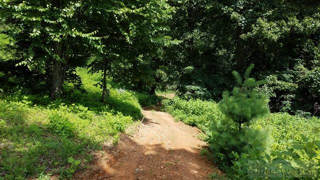 Tba Tba Amber Rock Road Lenoir, NC 28645 - Photo 12 of 13 Gallery Image 12