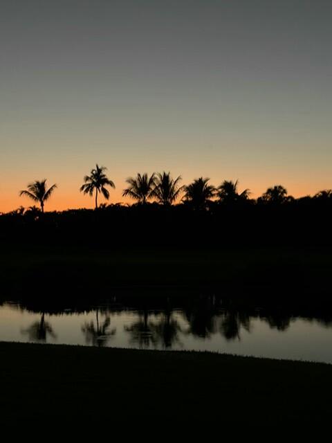 4193 Northwest 53rd Street Boca Raton, FL 33496 - Photo 69 of 74 Palm Trees Sunset