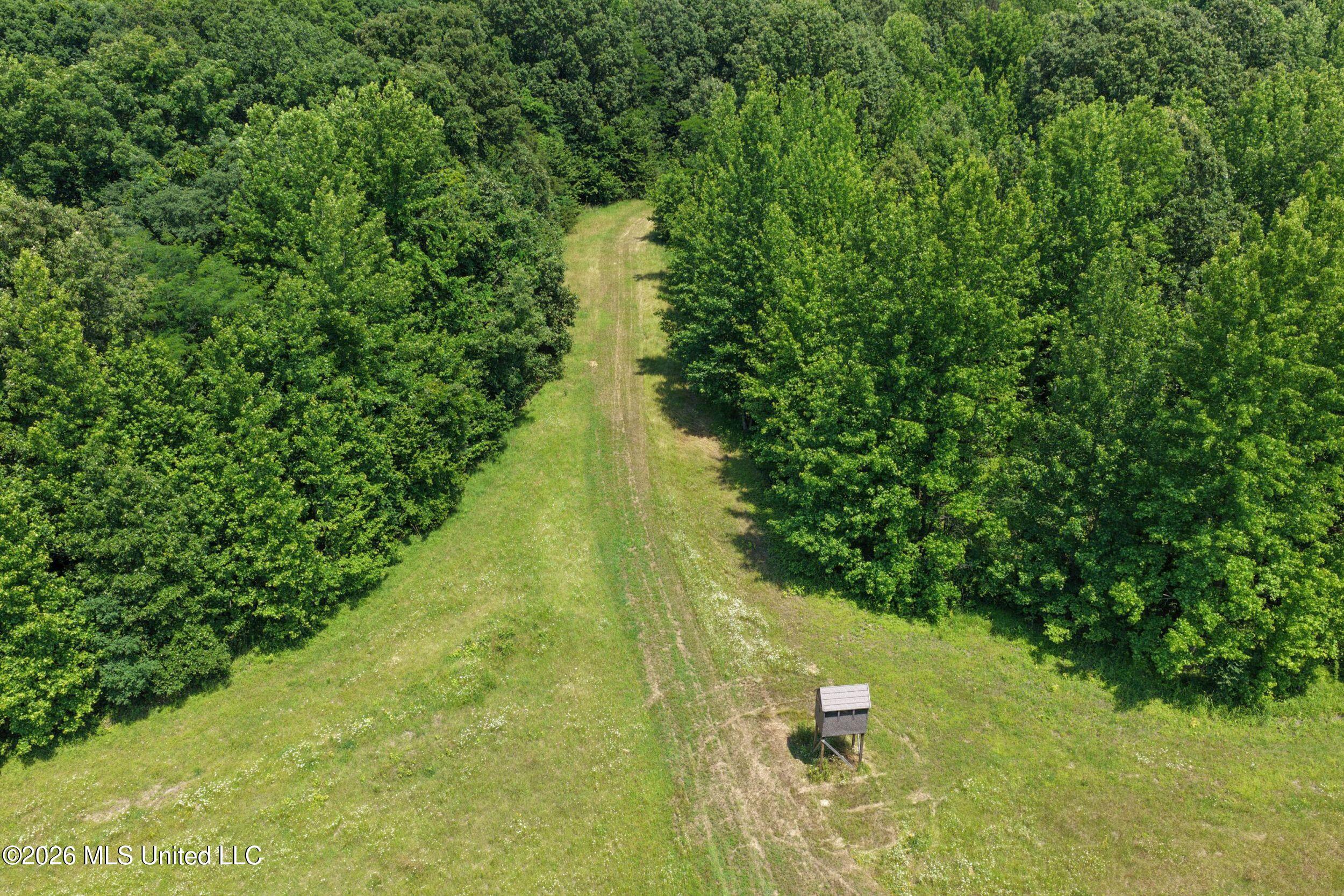 884 Avant Road Crenshaw, MS 38621 - Photo 37 of 154 4dbyicr31