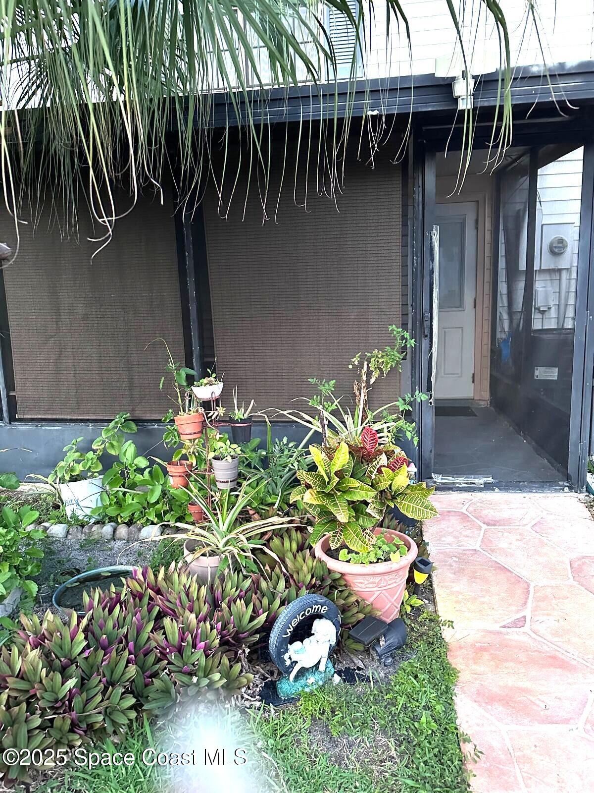 2014 Manor Drive Northeast Palm Bay, FL 32905 - Photo 15 of 15 a bunch of flowers are in a garden