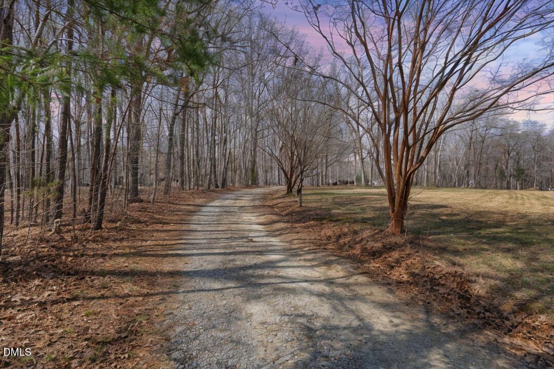 4739 Wild Azalea Place Rougemont, NC 27572 - Photo 2 of 48 a view of outdoor space with trees