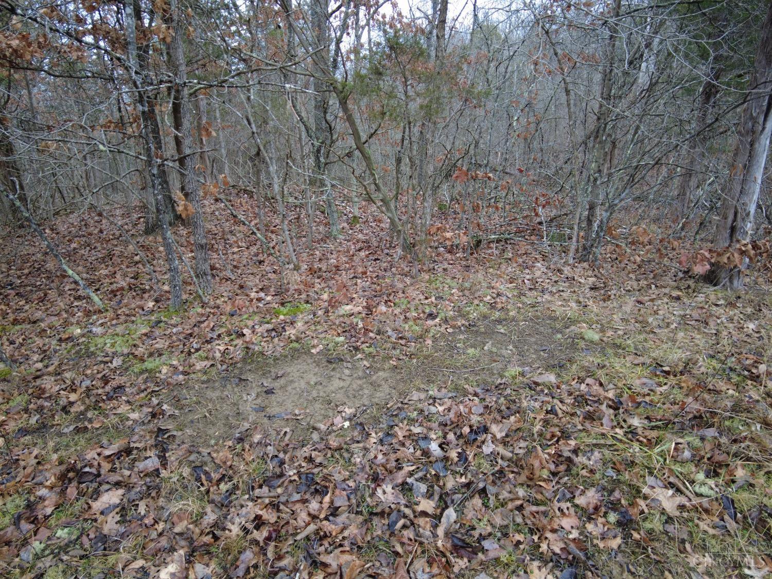 18676 State Rte 41 West Union, OH 45693 - Photo 26 of 45
