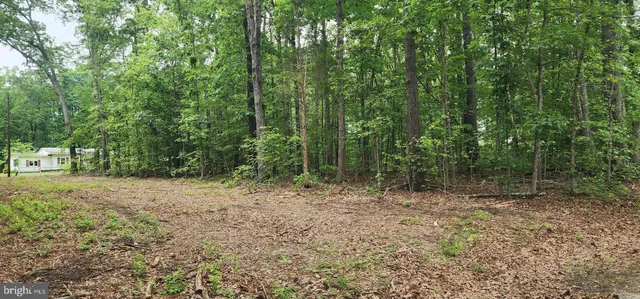 a sign that is sitting in the middle of the forest