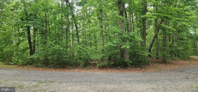 $13,900 | G3 Orchid Lake Drive, Gum Spring, VA 23065