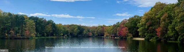 a backyard of apartments with large trees