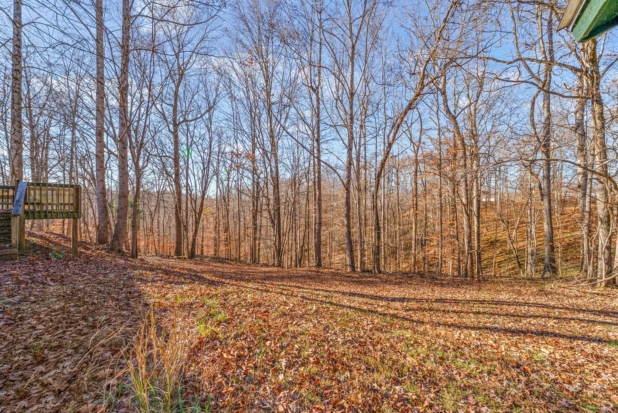 1105 Valley View Road Ashland City, TN 37015 - Photo 22 of 28 a view of a backyard of the house