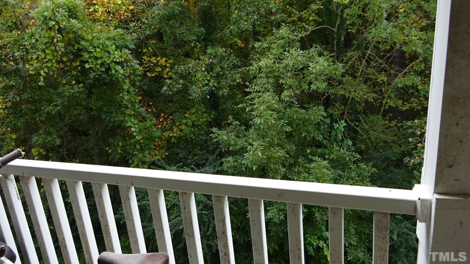 1441 Collegiate Circle, Unit 304 Raleigh, NC 27606 - Photo 13 of 24 a balcony with wooden floor and fence