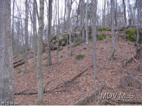 0 Slate Run Road Belleville, WV 26133 - Photo 12 of 16 Park-like setting