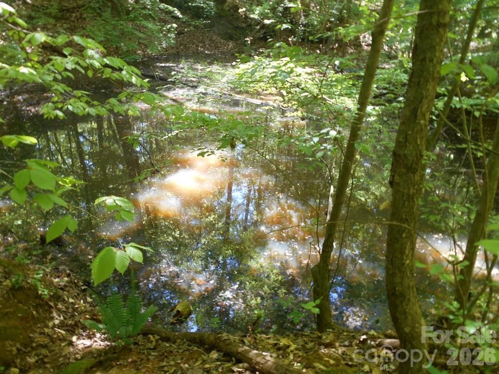 0 Tin Mine Road, Unit 1 Lincolnton, NC 28092 - Photo 12 of 13 Gallery Image 12
